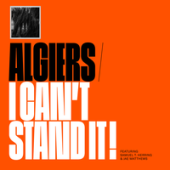 Algiers feat. Samuel T. Herring, Jae Matthews - I Can t Stand It