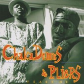 Chaka Demus & Pliers - Twist And Shout