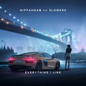 Nippandab - Everything I Like